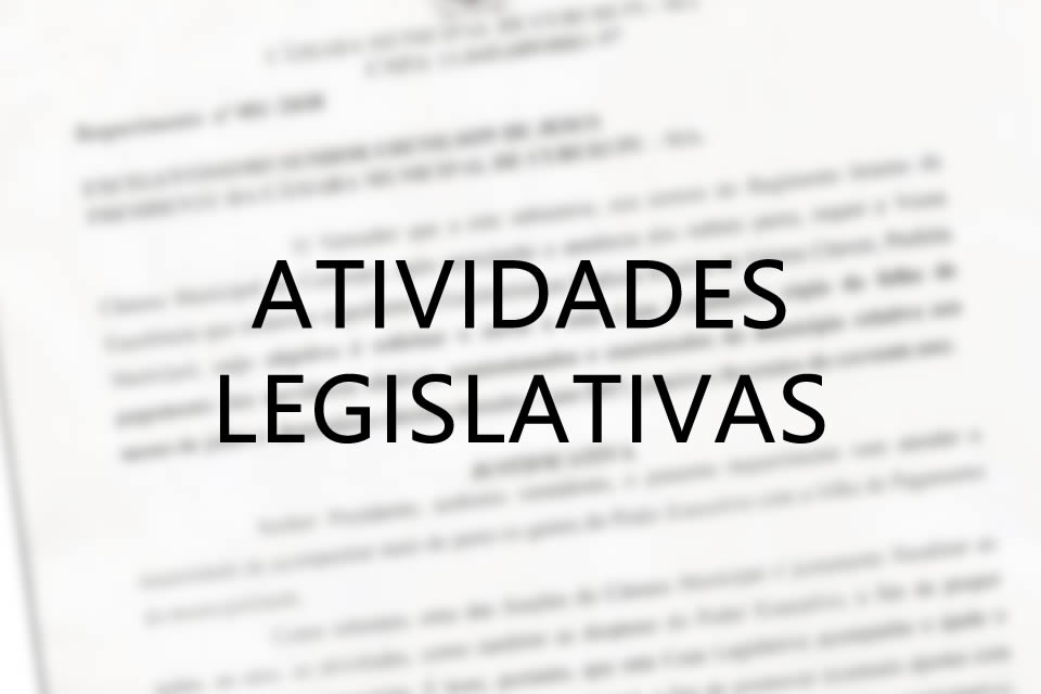 RESUMO DAS ATIVIDADES LEGISLATIVAS